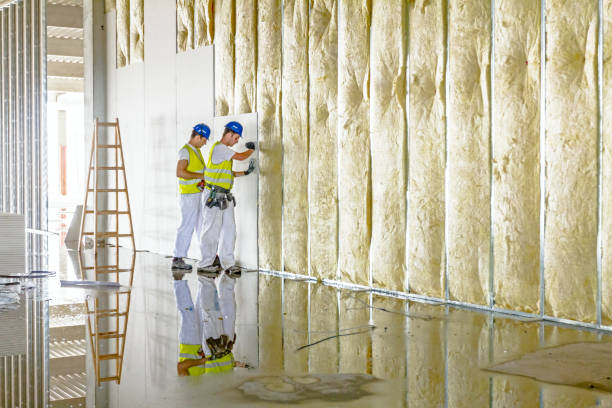 Best Eco-Friendly Insulation in Huron, SD